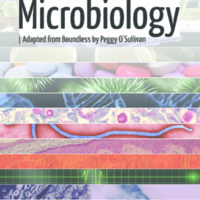 Microbiology<br />
