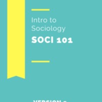 Sociology 101 V2.1