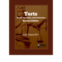 Torts: Cases and Contexts Volume 2