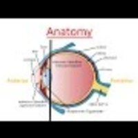 Cataract Explained from A to Z