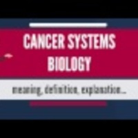 Cancer System Biology