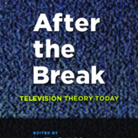 After the Break : Television Theory Today