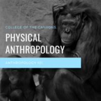 Physical Anthropology