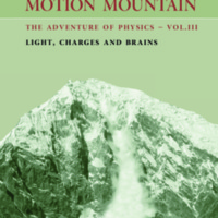 Motion Mountain: The Adventure of Physics: Light, Charges and Brains (Volume 3)