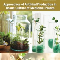 Approaches of Antiviral Production in Tissue Culture of Medicinal Plants