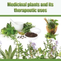 Medicinal Plants and Its Therapeutic Uses