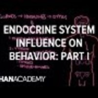Endocrine System and Influence on Behavior - Part 1