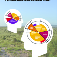 Thinking Beyond Sectors for Sustainable Development