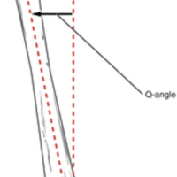 The Q-Angle 