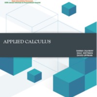 Applied Calculus.pdf